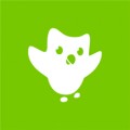 logo Duolingo - Learn Languages for Free