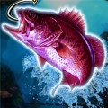 logo Real Fishing Pro 3D