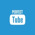 logo Perfect Tube