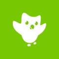 logo Apprends l'anglais et l'espagnol avec Duolingo