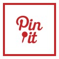 logo pin.it